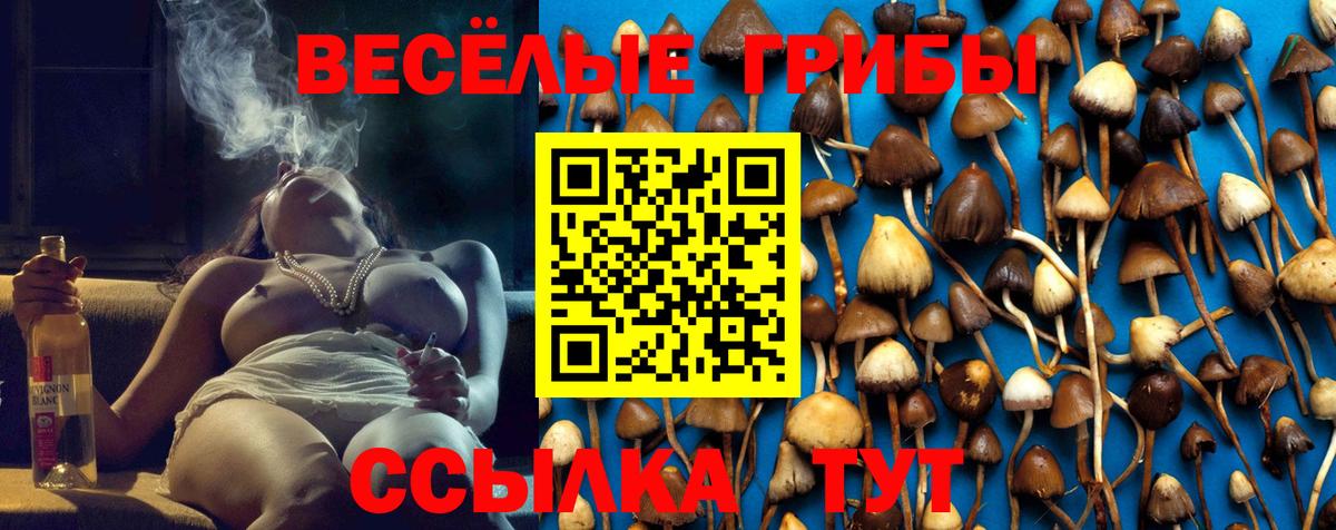 Галлюциногенные грибы Magic Shrooms Березники