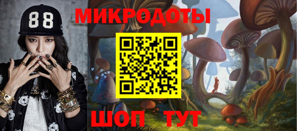 Березники  Псилоцибиновые грибы Cubensis  Вход с VPN 