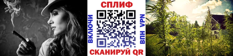 купить  цена  Березники  Шишки марихуана план 